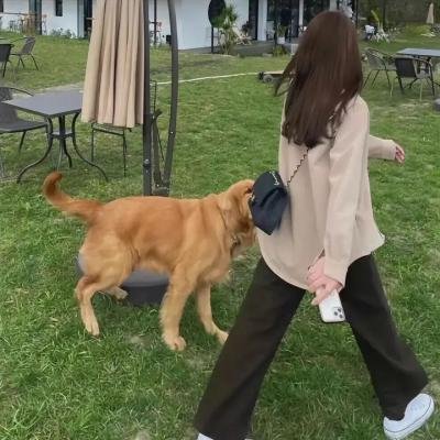 众人之妻